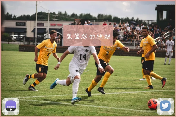 装篮球的铁框