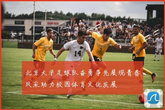 北京大学足球队奋勇争先展现青春风采助力校园体育文化发展