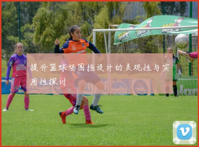 提升篮球场围挡设计的美观性与实用性探讨