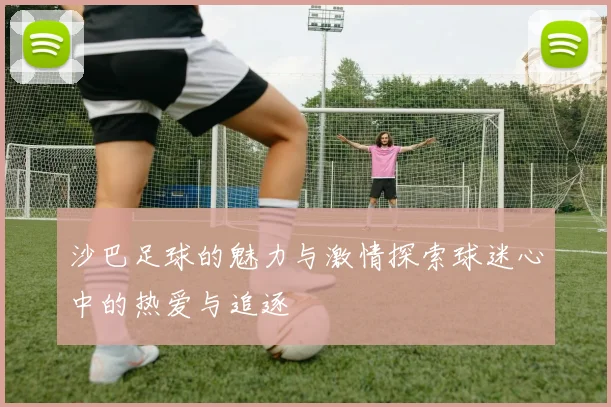 沙巴足球的魅力与激情探索球迷心中的热爱与追逐