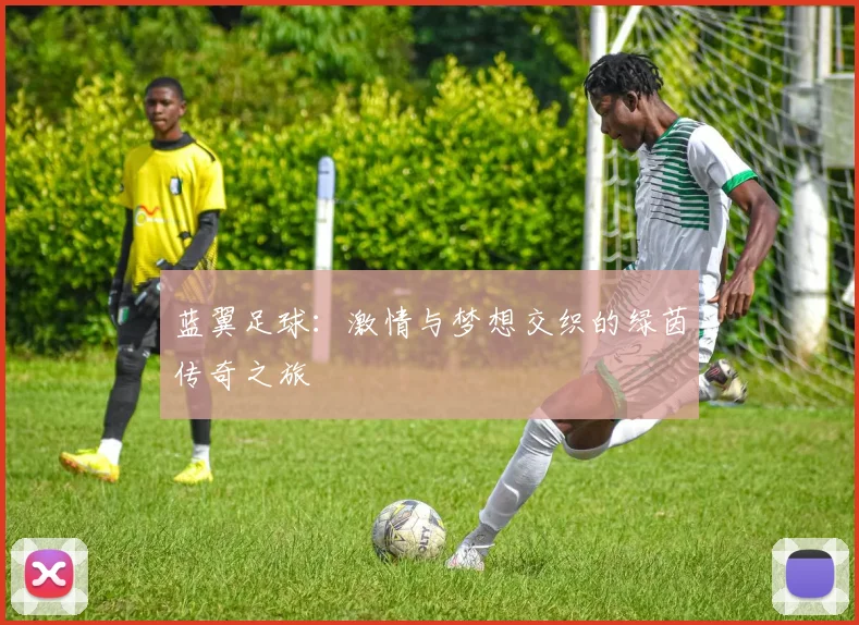 蓝翼足球：激情与梦想交织的绿茵传奇之旅