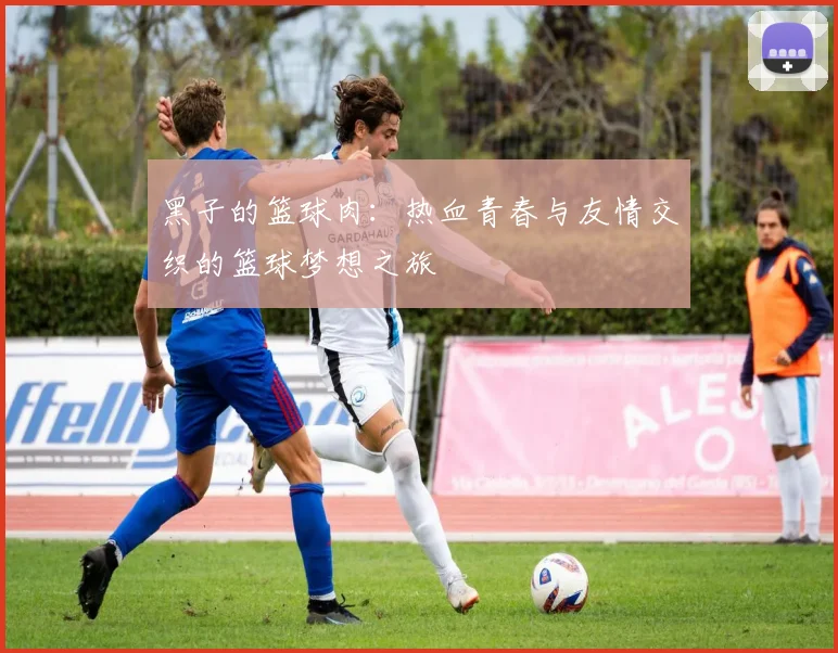 黑子的篮球肉：热血青春与友情交织的篮球梦想之旅