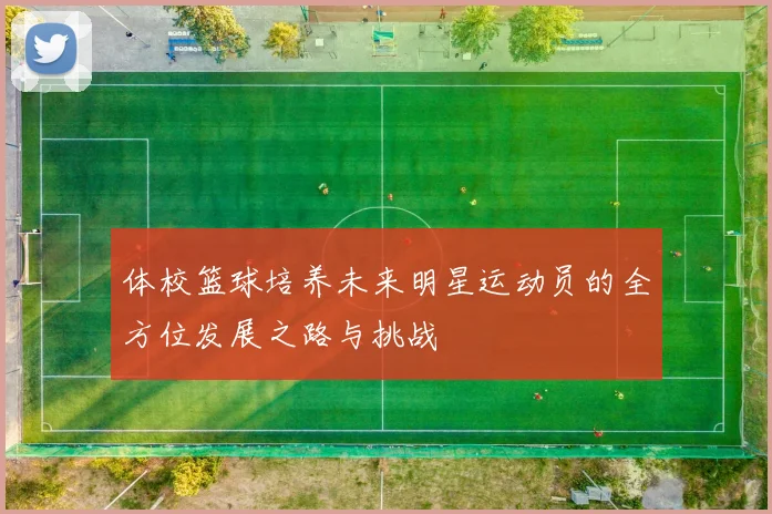 体校篮球培养未来明星运动员的全方位发展之路与挑战