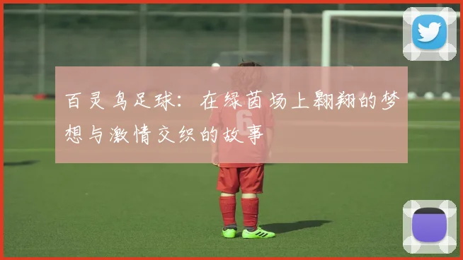 百灵鸟足球：在绿茵场上翱翔的梦想与激情交织的故事